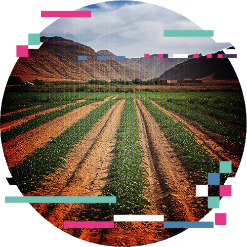 Icono Agricultura